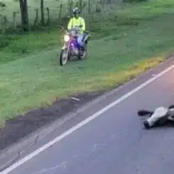 Accidente dejó 6 vacas muertas en la Panamericana Sur que conduce hacia Rivas
