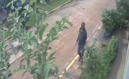 Cámaras de vigilancia captan a brujo enterrando maleficios en una casa de Nueva Guinea