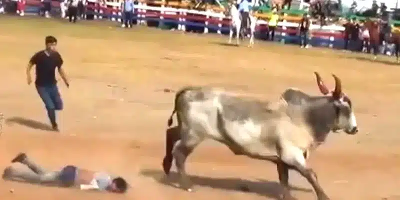 Grave está Manuel Serrano Morales, el improvisado que fue embestido por el toro Pájaro Loco en la barrera de Juigalpa