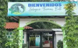 Turistas visitan el Zoológico Thomas Belt para contemplar los más de 300 ejemplares y el área boscosa