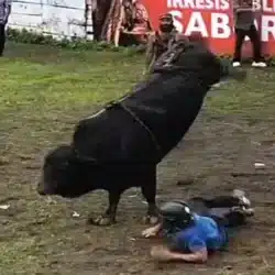 Fiestas taurinas “Todo San Jacinto” fueron un éxito en Juigalpa