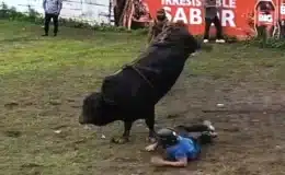 Fiestas taurinas “Todo San Jacinto” fueron un éxito en Juigalpa
