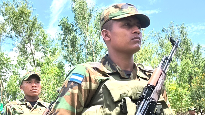 Tropas del Quinto Comando Militar.