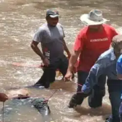 Rescatan el cuerpo sin vida de Juan Bautista, a quien las corrientes del rio El Zapote lo arrastraron la noche del martes