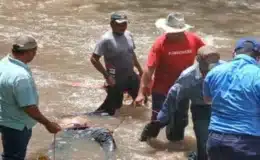 Rescatan el cuerpo sin vida de Juan Bautista, a quien las corrientes del rio El Zapote lo arrastraron la noche del martes