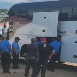 Policía incauta droga que era transportada en un bus como encomienda