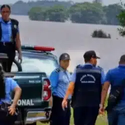 Encuentran en estado de descomposición el cuerpo sin vida de una mujer de identidad desconocida