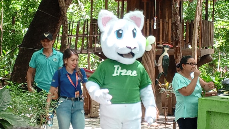 Itzae se acerca a su presentación oficial.