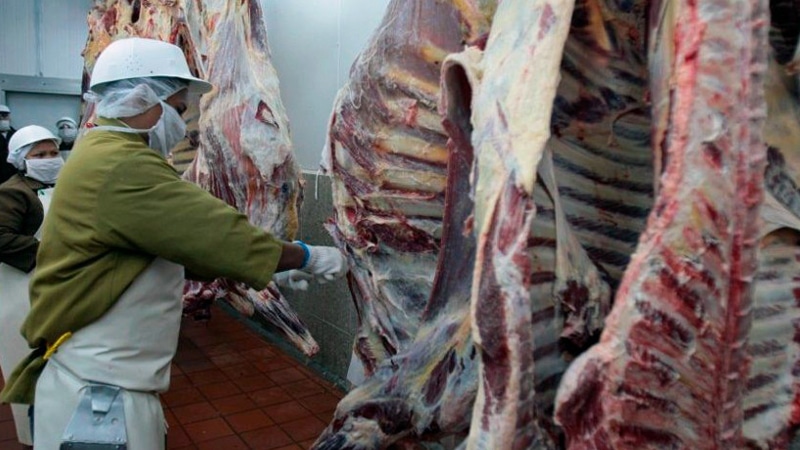 Carne bovina en los mataderos de Nicaragua-Foto Cortesía. 