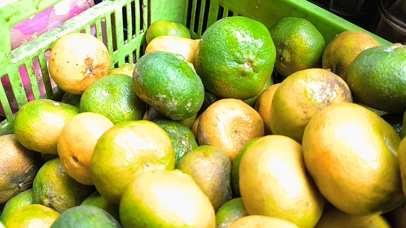 Las mandarinas ya se están vendiendo.