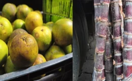 Productos de la purísima ya están llegando al Mercado Central de Juigalpa