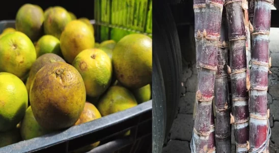 Productos de la purísima ya están llegando al Mercado Central de Juigalpa