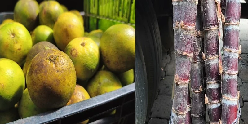 Productos de la purísima ya están llegando al Mercado Central de Juigalpa