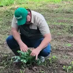 Bansei presentó el Programa Ultra Sandías y se proyectan cultivar unas 500 manzanas