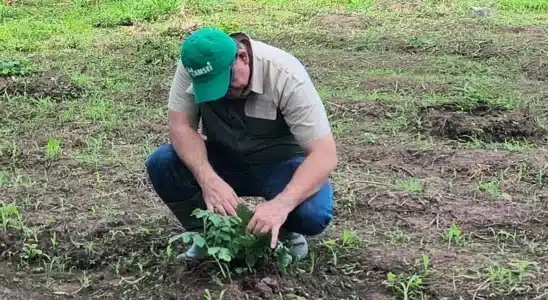 Bansei presentó el Programa Ultra Sandías y se proyectan cultivar unas 500 manzanas