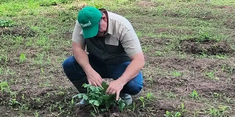 Bansei presentó el Programa Ultra Sandías y se proyectan cultivar unas 500 manzanas