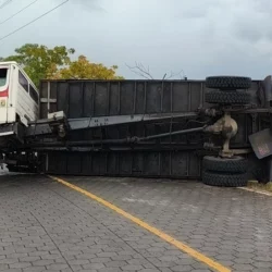 Se le desprendió parte del camastro a un camión que trasladaba 22 reses