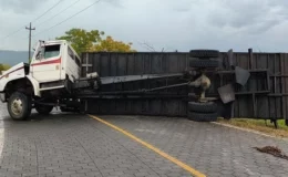 Se le desprendió parte del camastro a un camión que trasladaba 22 reses