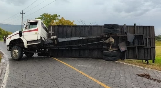 Se le desprendió parte del camastro a un camión que trasladaba 22 reses
