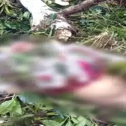 En Telpaneca una mujer murió luego que un árbol le cayó encima cuando cortaba café