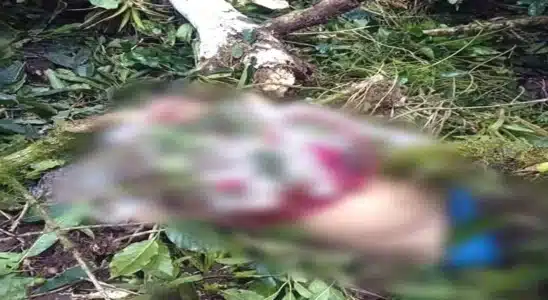 En Telpaneca una mujer murió luego que un árbol le cayó encima cuando cortaba café