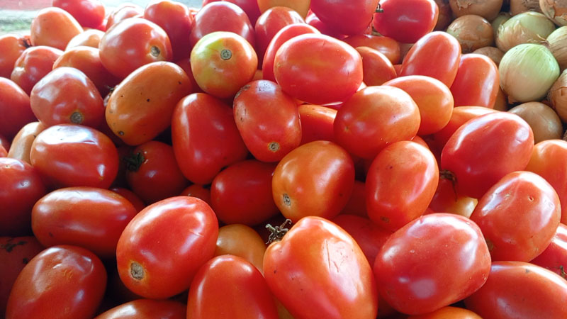 La libra de tomate se compra en 28 córdobas.