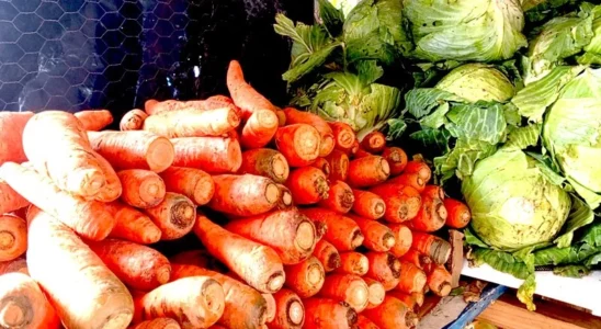 Productos para preparar la cena de nochebuena están estables en el comercio de Juigalpa