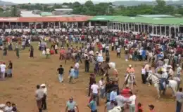Juigalpa Cierra sus actividades del 147 aniversario con una corrida de toros en la barrera municipal Vicente Hurtado “Catarrán”