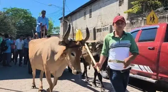 Ya inició la fiesta tradicional de Acoyapa y el domingo será el desfile hípico