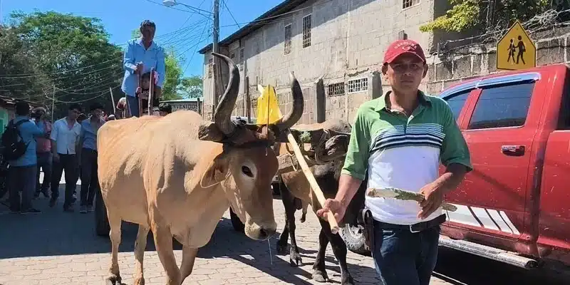 Ya inició la fiesta tradicional de Acoyapa y el domingo será el desfile hípico