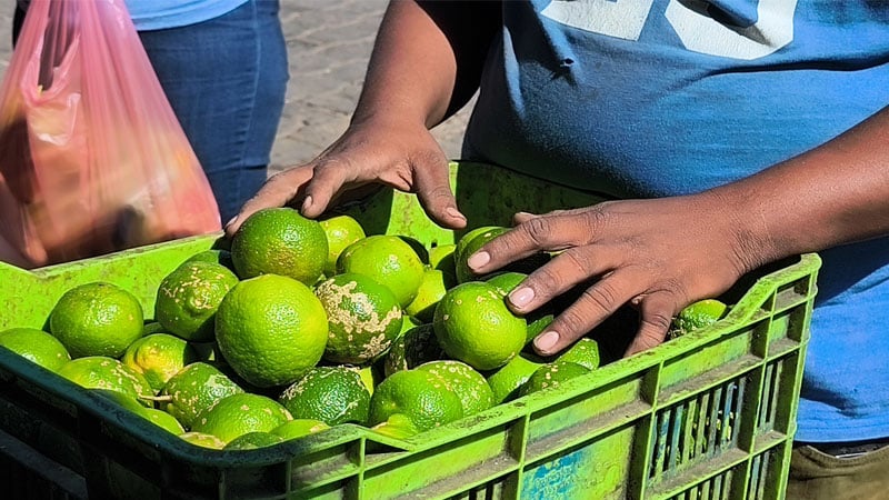El limón se mantiene a cinco córdobas la unidad.