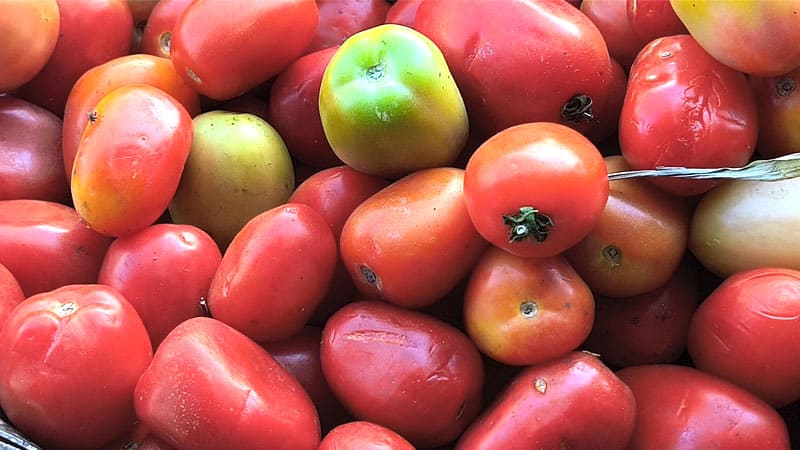 La libra de tomate pasó de 20 a 15 córdobas. 