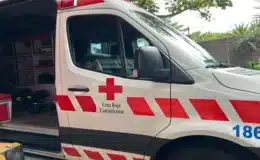 Un hombre murió en Atenas-Costa Rica al caerle en su humanidad un frondoso árbol