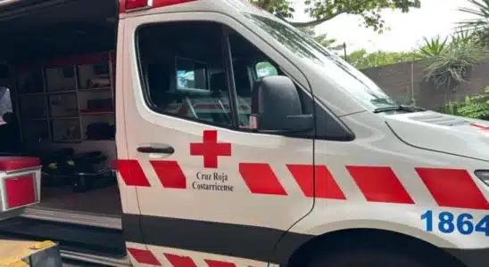 Un hombre murió en Atenas-Costa Rica al caerle en su humanidad un frondoso árbol