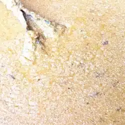 Sabores de cuaresma indundan la ciudad de Juigalpa