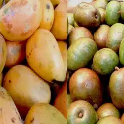 Ya están a la venta los productos para elaborar el tradicional almíbar de semana santa