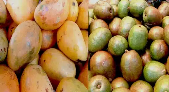 Ya están a la venta los productos para elaborar el tradicional almíbar de semana santa