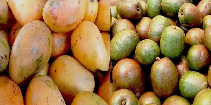 Ya están a la venta los productos para elaborar el tradicional almíbar de semana santa