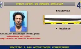 Capturan a Herardino Rodríguez, quien le arrebató la vida de un machetazo a Denis Antonio Mejía