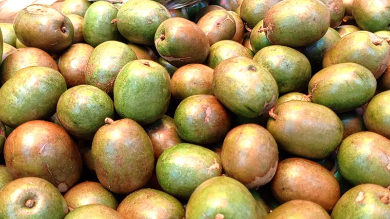 Los jocotes ya se venden en el mercado de Juigalpa.