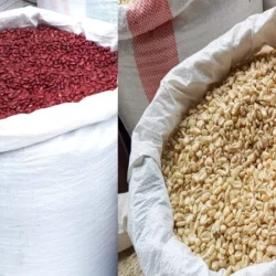 Bajó la libra de frijol rojo y de maíz en el Mercado Central de Juigalpa