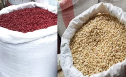 Bajó la libra de frijol rojo y de maíz en el Mercado Central de Juigalpa