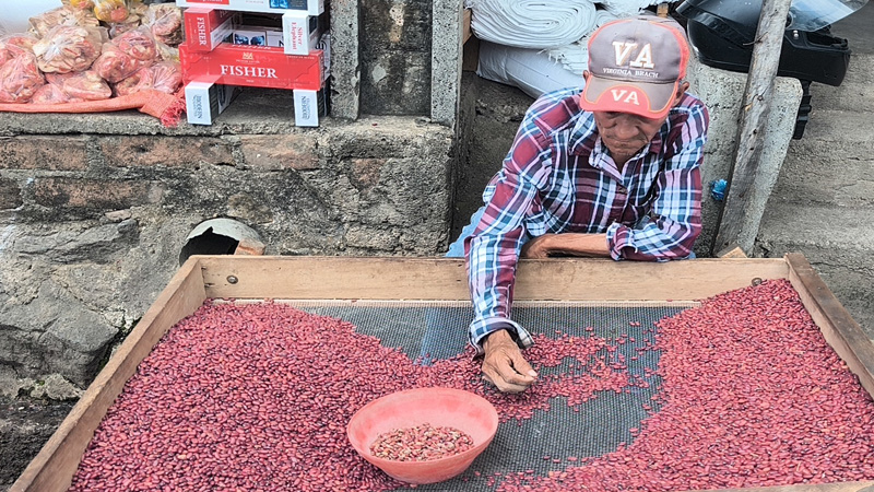 La libra de frijol rojo bajó su precio. 