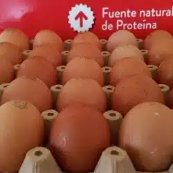 La cajilla de huevos bajó precio y ahora se compra entre 185 y 195 córdobas
