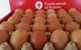 La cajilla de huevos bajó precio y ahora se compra entre 185 y 195 córdobas