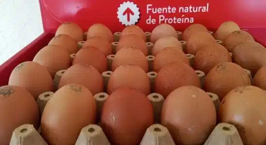La cajilla de huevos bajó precio y ahora se compra entre 185 y 195 córdobas