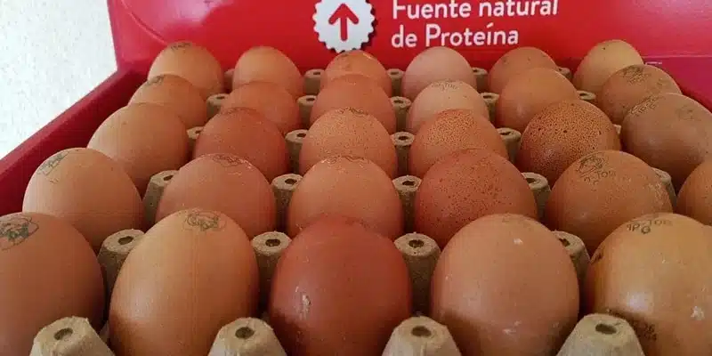 La cajilla de huevos bajó precio y ahora se compra entre 185 y 195 córdobas