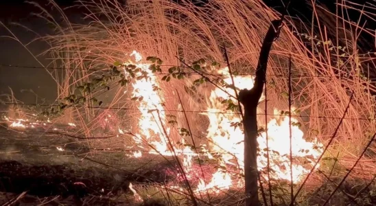 Quemas de pastizales en Juigalpa encendieron alertas en semana santa