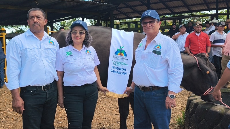 Vaca que alcanzó el segundo lugar del concurso. 