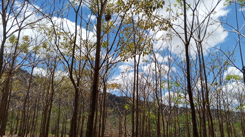 Altas temperaturas se registrarán esta semana.